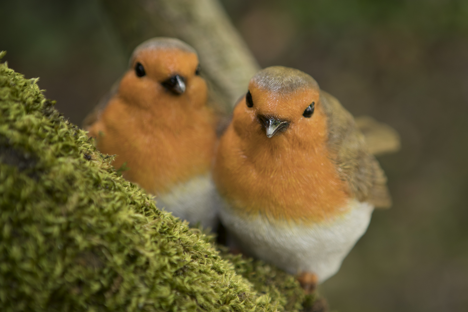Animals > LO19093 Pair of Robins